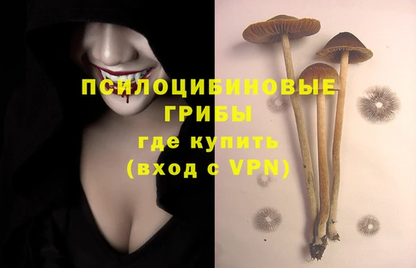 альфа пвп Заволжье