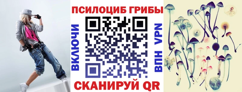 Псилоцибиновые грибы Psilocybe  Купить где  Рыбное 